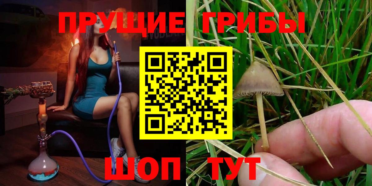 Донской  Галлюциногенные грибы MAGIC MUSHROOMS  Вход с VPN  Псилоцибиновые грибы Cubensis 